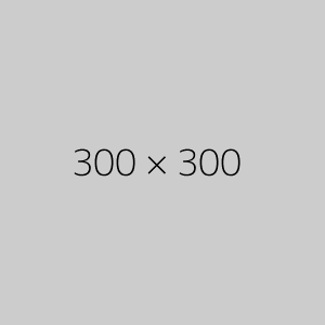 300 - Copy (2)